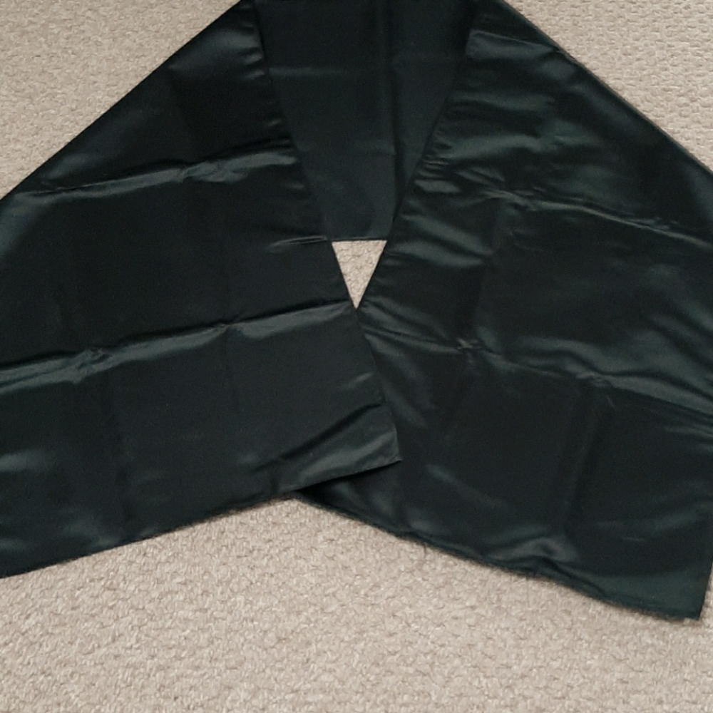 NWOT Satin Schall